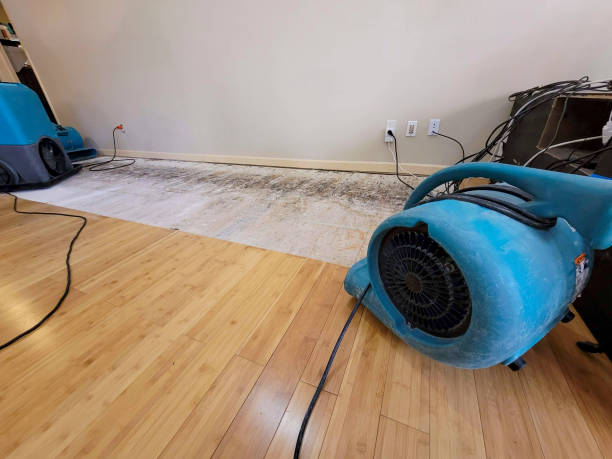 Professional Basement Flood Cleanup technician working in Pendleton, SC